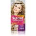 Delia Cosmetics Cameleo - Tinted shampoo - Blonde - Quick and easy colour refresh - No ammonia or oxidants - Shampoo in bag - 40 ml