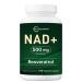 Micro Ingredients NAD+ 500mg with Resveratrol 240 Veggie Capsules | 2-in-1 NAD Supplement for Women & Men | NMN Pathway Alternative | Non-GMO Gluten Free 240 Count (Pack of 1)