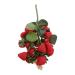 Zerodeko Simulation Blueberry Faux Strawberries Household Decor Fake Fruit Photo Props Decor for Home Faux Strawberry Christmas Decor Strawberry Lantern Foam Red Artificial Model Red 29.00X12.00X5.00CM