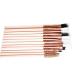 12-Piece Professional Eye Makeup Brush Set - Blender Eyeliner Eyebrow & Concealer Brushes - High-Quality Beige Cosmetic Tools - Buy Online on GoSupps.com