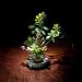 2pcs Round Flower Frog Holder - 2.4 Inch | Floral Arrangement Tool - Buy Online on GoSupps.com