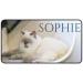 Personalized Custom Cat Food Mat with Photo and Name - 12 x 22 - For Dogs and Cats - Buy Online on GoSupps.com