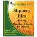 Rachel's Tea Slippery Elm Bark 400mg - 100 Capsules | Natural Digestive Support - Buy Online on GoSupps.com