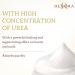 Renora | Repairing and Ultra Moisturising Hand and Nail Cream | Repairing and Protective Cream Softens Cracks | Hand Care Makes Nails more Resistant and Softens Cuticles | Quick Absorption | 75 ml - Buy Online on GoSupps.com