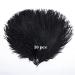 Hollosport 30PCS Bulk Black Ostrich Feathers 10-12 Inches for Centerpieces Party Wedding Home Decorations Dream Catchers Vases Crafts (Black) Black 10-12 Inch