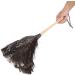 Ostrich Feather Duster Ostrich Feather Duster with Wood Handle Reusable Eco Friendly Reusable Handheld Ostrich Feather Duster Cleaning Supplies - Buy Online on GoSupps.com