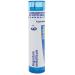 Boiron Argentum Metallicum 6C for Hoarseness from Voice Overexertion - 80 Pellets