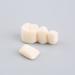 Bagima Dental Disease Typodont Model - Fixed Removable Adult Teeth Study | 10x9x8 | International Shipping - Buy Online on GoSupps.com