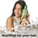 Leche Pal Pelo Detox Shampoo - Apple Cider Vinegar & Honey Infused | pH Balanced Hair Transformation | Moisture & Shine Repair - 14.9 oz - Buy Online on GoSupps.com