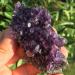Natural Crystal Rough Natural Amethyst Quartz Crystal Cluster Specimen 80g - Buy Online on GoSupps.com