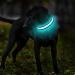 Masbrill Luminous Dog Collar - Waterproof LED Adjustable Light-Up Band for Small Medium & Large Dogs (28-40cm) - 3 Light Modes - Black - Buy Online on GoSupps.com