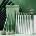 Set of 13 Green Makeup Brushes - Buy Online on GoSupps.com