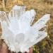 Home Natural White Quartz Crystal Cluster Specimen Home Goods (Size : 650-700g) - Buy Online on GoSupps.com