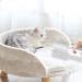 Buy Oiamker Lint Rollers - 16 Rolls Extra Sticky Ideal for Pet Hair & Clothing | Fast International Shipping - Buy Online on GoSupps.com