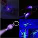 MODOAO Mini LED UV Keychain Blacklight Flashlight - 10Pcs Purple UV Urine Detector for Dogs | International Shipping - Buy Online on GoSupps.com
