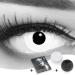 Buy Funnylene Colored White Contact Lenses -2.50 | Crazy White Out Lenses for Halloween & Carnival | 1 Pair with Lens Tank - Buy Online on GoSupps.com