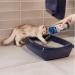Biokat's Active Pearls | Odor Control Cat Litter Additive with Activated Carbon - 700ml Can (1 Pack) - Buy Online on GoSupps.com