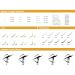 Lash Extension Supplies - 2 Trays 12 Rows Soft Faux Mink Individual Lashes Japanese Camellia Natural Series 0.05-C 10mm & 11mm Caramel - Shop Internationally - Buy Online on GoSupps.com