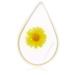 Skin Care Tool Bloom