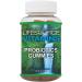 LifeSource Vitamins Probiotic Gummies Organic for All Ages (60 Gummies) - Buy Online on GoSupps.com