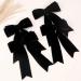 4PCS Velvet Hair Bows for Girls | Black Hair Bow Clips | Ribbon Bows Hair Accessories for Women, Girls, Toddlers, Infants - Buy Online on GoSupps.com
