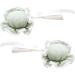 amangul 1pair Hair Bun Shape Hairpins for Girl Anime Role Play in Halloween Chinese Style Hair Clip for Woman Ponytail Hair Clip(Lake Green) - Buy Online on GoSupps.com