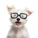 Enjoying Small dog glasses for dogs Small breeds UV protection Eye protection Wind-density anti-fog pet glasses for dogs over 5 lbs transparent transparent