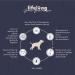 Amazon Brand - Lifelong Complete food for small breed puppies without cereals made with fresh chicken meat - 5kg*2 - Buy Online on GoSupps.com