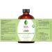 SVA Lemon Eucalyptus Essential Oil 4 Oz - 100% Pure Natural Therapeutic Grade for Radiant Skin, Healthy Hair, Soaps, Candles - Aromatherapy & Diffuser - Buy Online on GoSupps.com
