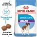 Royal Canin Puppy/Junior Dry Dog Food Giant Active 8-18/24 Months ( 45kg) 15kg - Buy Online on GoSupps.com