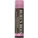 Burt's Bees Pink Blossom Tinted Lip Balm 4.25g - 100% Natural Formula - Buy Online on GoSupps.com