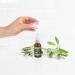 Global Healing Organic Lung Health Supplement - Herbal Nasal Decongestant Spray for Respiratory Support and Mucus Relief - 1 Fl Oz - Buy Online on GoSupps.com