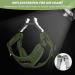 Adjustable Cat Leash Set & Outbreak-Proof Dishes for Cats and Kittens - Green | International Shipping - Buy Online on GoSupps.com