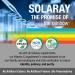 SOLARAY Vitamin C w/Rose Hips & Acerola 500mg | Two-Stage Timed-Release Immune Support | Non-GMO | 250 Count - Buy Online on GoSupps.com