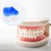 Denture Box Retainer Case Denture Storage Bath Box Denture Holder Box Cleaning Box Lightweight and Portable Cleaning Box with Filter (L Blue) L Blue - Buy Online on GoSupps.com