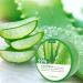 yethious Soothing Moisture Aloe Vera Gel 99% Pure Organic Aloe Vera Juice 10.50oz for Face Hair Skin Set - Buy Online on GoSupps.com