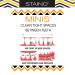 Staino Minis Interdental Brushes - 10 Piece Matchbook 36 Packs of 10 for Optimal Oral Care | International Shipping Available - Buy Online on GoSupps.com
