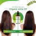 Organic Amla Oil for Hair Growth 4 oz (120 ml) - 100% Pure, Cold Pressed & Unrefined Amla Fruit Oil for Hair, Body & Face - Natural Care for Beautiful Hair - Buy Online on GoSupps.com