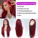 Xeparlo 99J Burgundy Lace Front Human Hair Wig 20 Inch | Pre Plucked 13x4 Straight Wine Red 99J Wig for Women | 150% Density with Baby Hair | Colored 99J Lace Front - Buy Online on GoSupps.com
