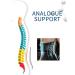 Shoyio Adjustable Back Support Belt | Lumbar Spine & Herniated Disc Support for Men & Women - Sport & Everyday Comfort - Buy Online on GoSupps.com