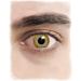 Horror-Shop Infected Zombie Halloween Contact Lenses | Spooky Effects for Halloween Costumes - Buy Online on GoSupps.com