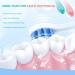 BodyAccel Niacinamide Whitening Toothpaste - Fluoride Free Sensitive Teeth Brightens with Cherry Flavor - 3.5 oz - Buy Online on GoSupps.com