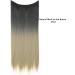 Natural wig piece one piece long straight hair high temperature silk fish line hair extension piece chenghuax (Color : 2T24 Size : 18) - Buy Online on GoSupps.com