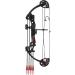 PANDARUS Compound Bow Archery Set for Youth and Beginners - 19-28 Draw Length, 15-29 lbs Draw Weight, 260 fps - Right Handed - Includes Hunting Equipment - Buy Online on GoSupps.com