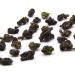 LWXLJMJZC-Taiwan High Mountain GABA Oolong Tea - Loose Leaf Oolong Tea - 50g/1.8oz with Tin Pack Taiwan Gaba Olong - Buy Online on GoSupps.com