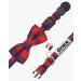 TagME Red Cat Collar with Name & Phone Number | Safety Clasp & Bell | Kitten Collar (1 Pack) - Buy Online on GoSupps.com