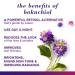 Burt's Bees Renewal Intensive Firming Serum with Bakuchiol Natural Retinol Alternative 1oz | Shop Internationally - Buy Online on GoSupps.com