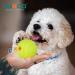 Laroo Dog Toys - Durable Natural Rubber Squeaker Football for Small & Large Dogs (6.5cm Green) - International Shipping Available - Buy Online on GoSupps.com