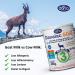 DANALAC Advanced Formula Goat Milk 800g Powder Baby Milk for Toddlers and Babies Stage 3 (12-36 Months) (800g 1) - Buy Online on GoSupps.com