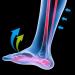 Foot Drop Orthotic Brace for Varus & Valgus - Ankle Support to Prevent Sprains & Cramps | Improved Gait | Large Size | International Shipping - Buy Online on GoSupps.com